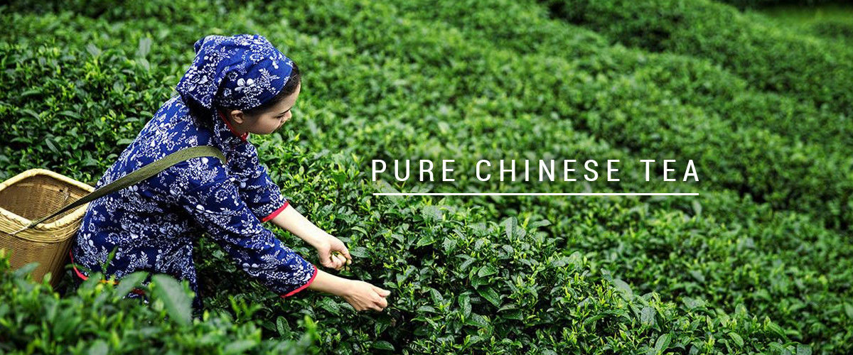 Porcellana il la cosa migliore tè organico del oolong sulle vendite